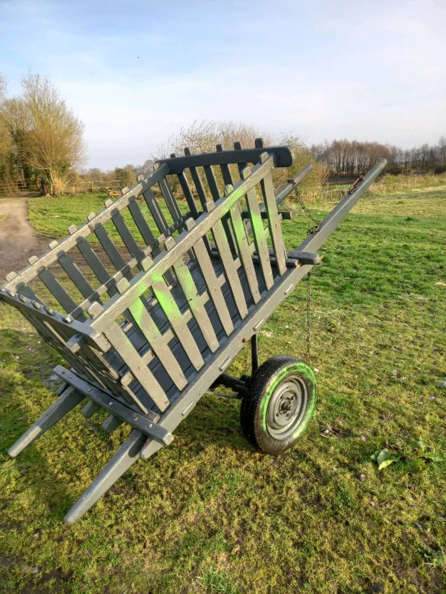 Donkey Cart & Harness - Image 1