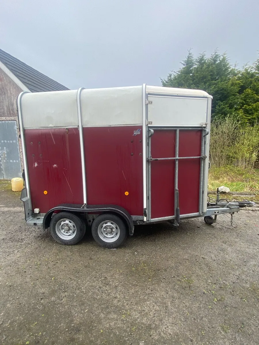 I for Williams 505 horse box - Image 2