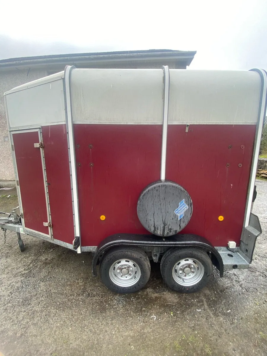 I for Williams 505 horse box - Image 4