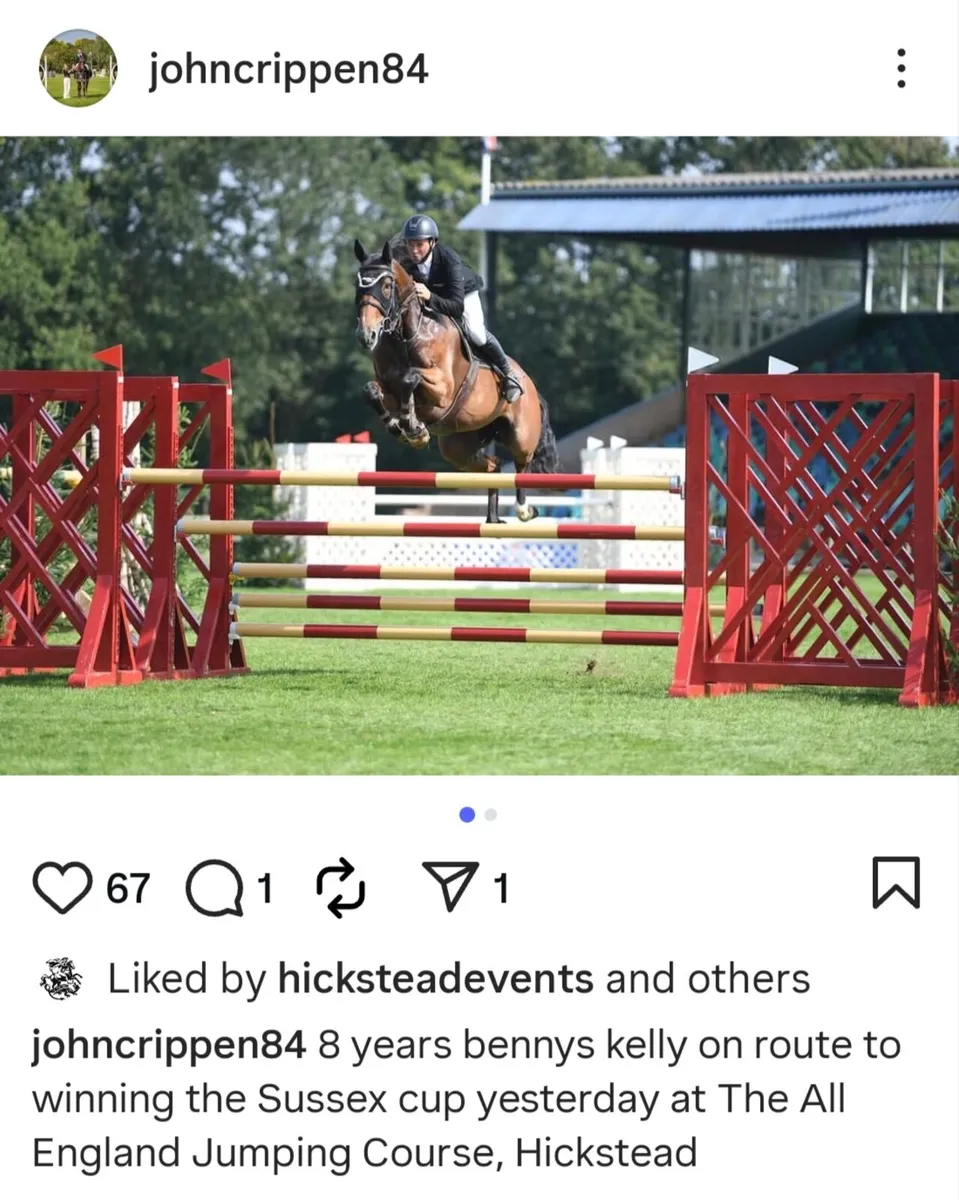 Mother of 1.50m Hickstead winner (Sussex Cup) - Image 2