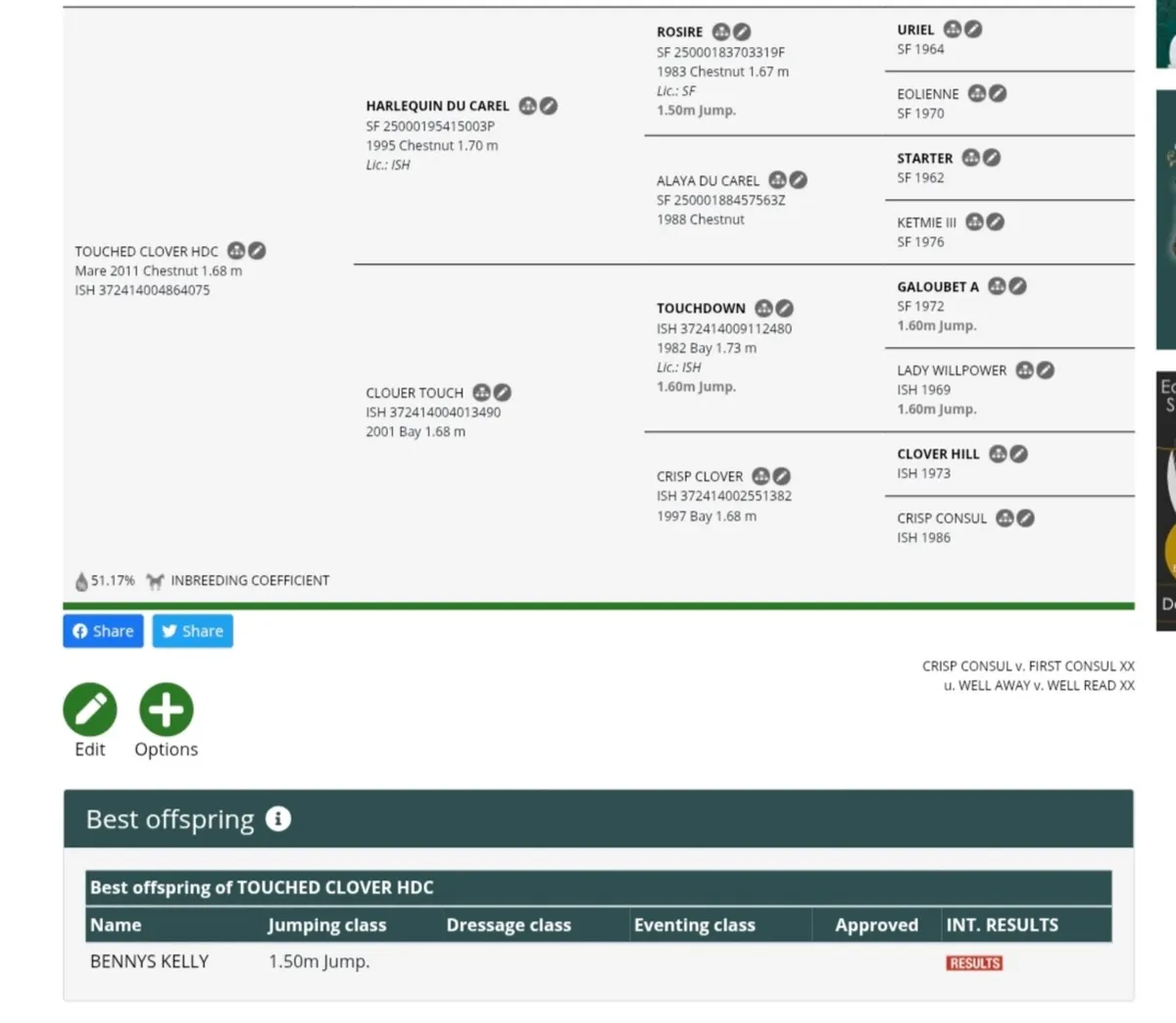 Mother of 1.50m Hickstead winner (Sussex Cup) - Image 3
