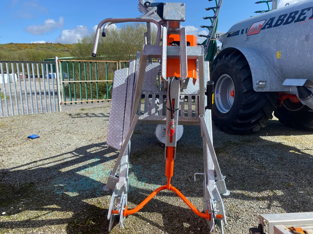 Abbey Agatitors - Image 1