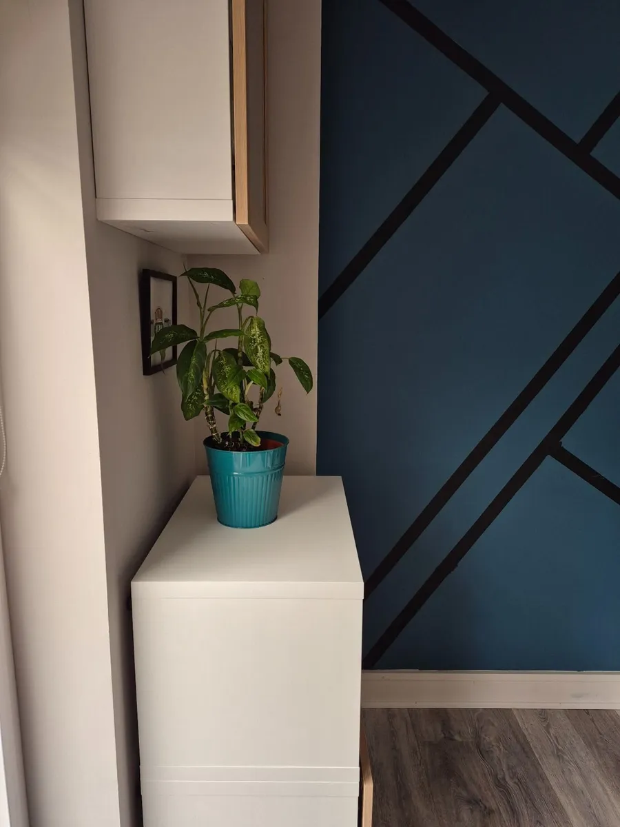 Storage Units - Image 4