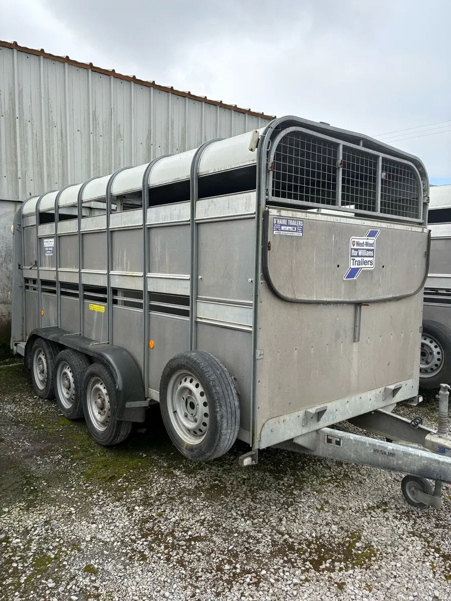 Ifor Williams 14x5’10 - Image 2