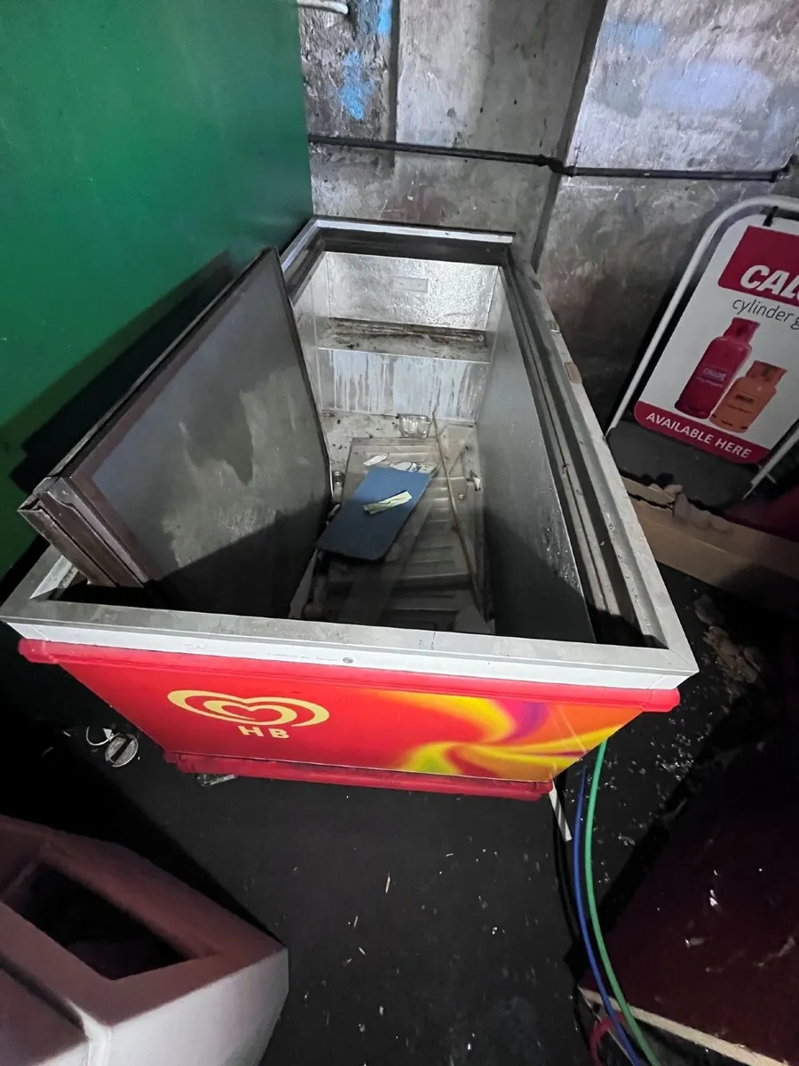 Fridge for Free - Image 2