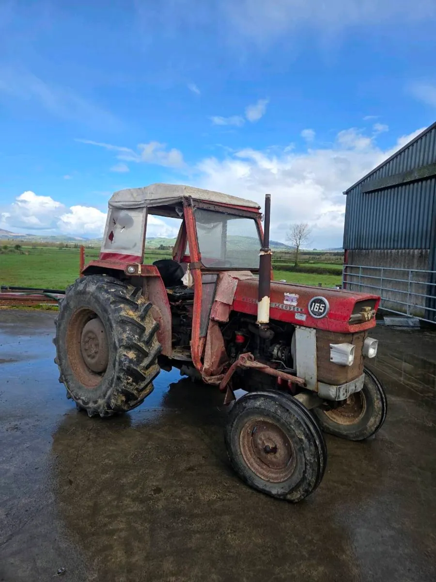 Massey ferguson 165 - Image 3