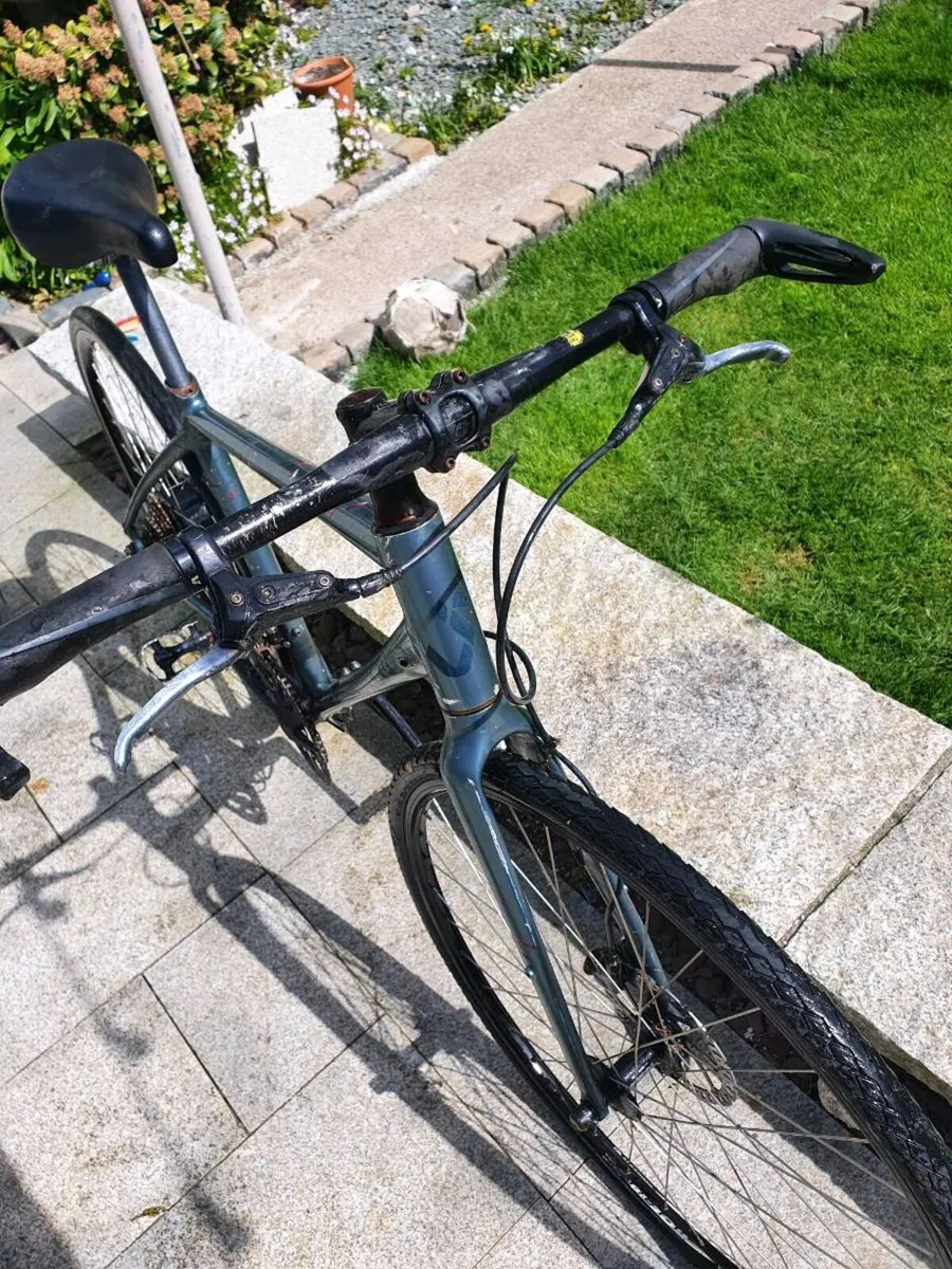 Giant liv fixie - Image 1