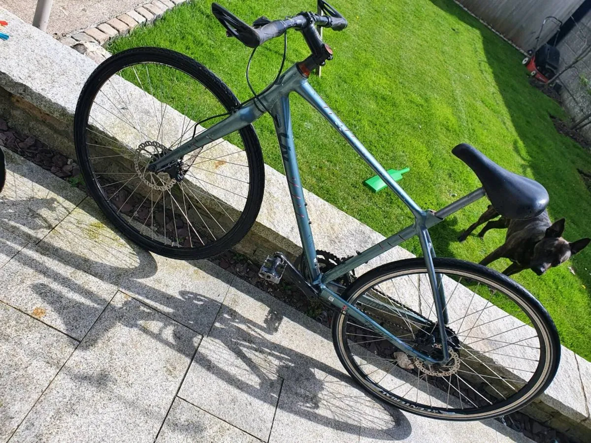 Giant liv fixie - Image 2