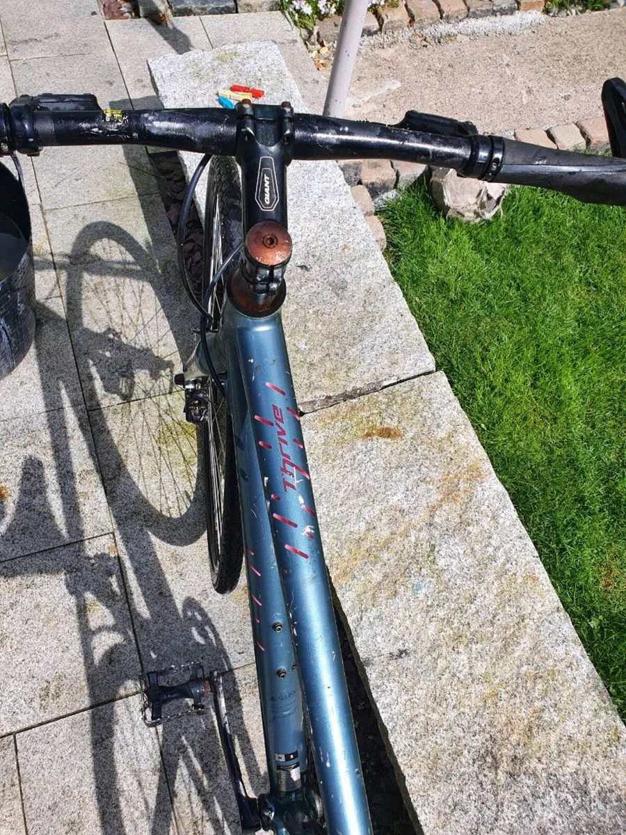 Giant liv fixie - Image 3