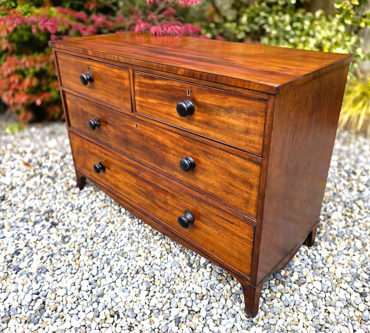 Georgian Mahogany Low Chest - Circa 1830 - Image 2