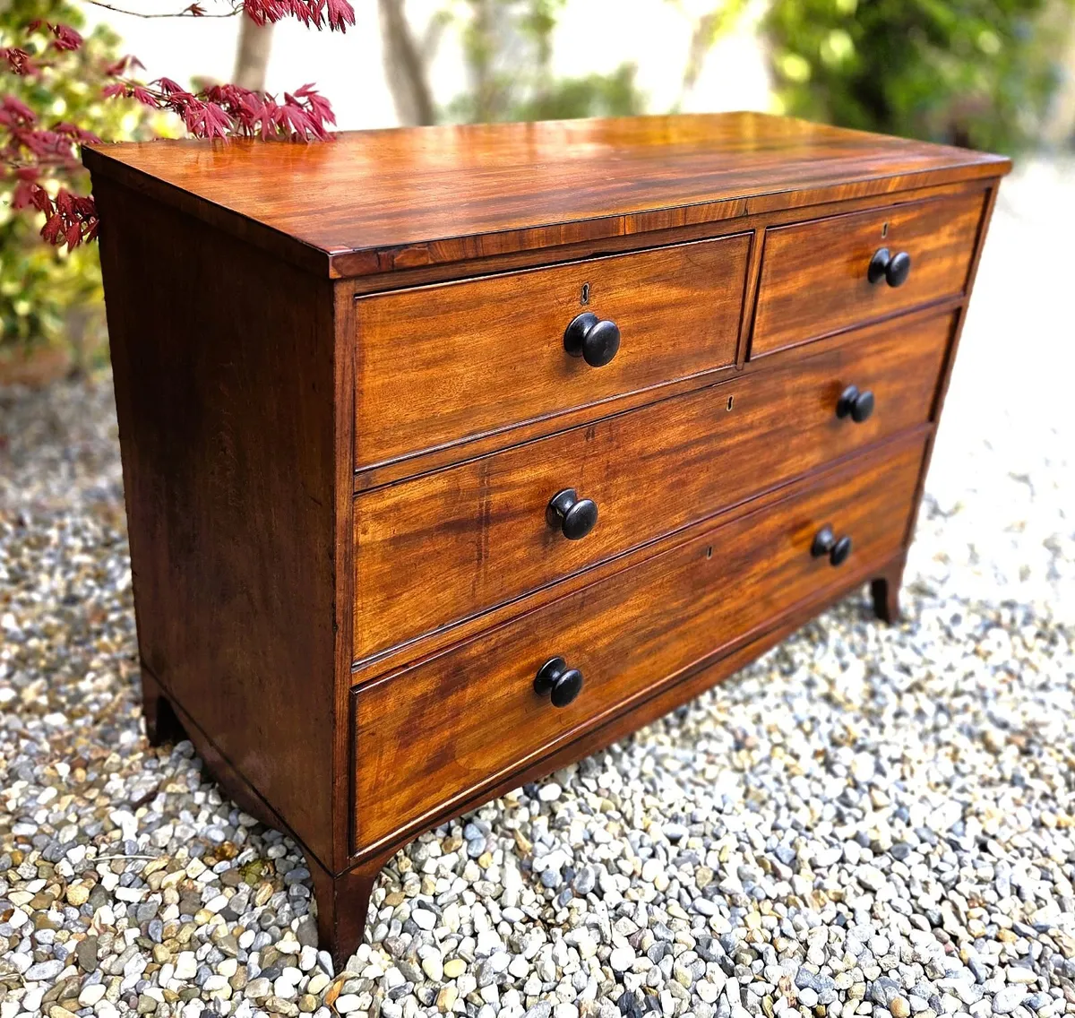 Georgian Mahogany Low Chest - Circa 1830 - Image 3