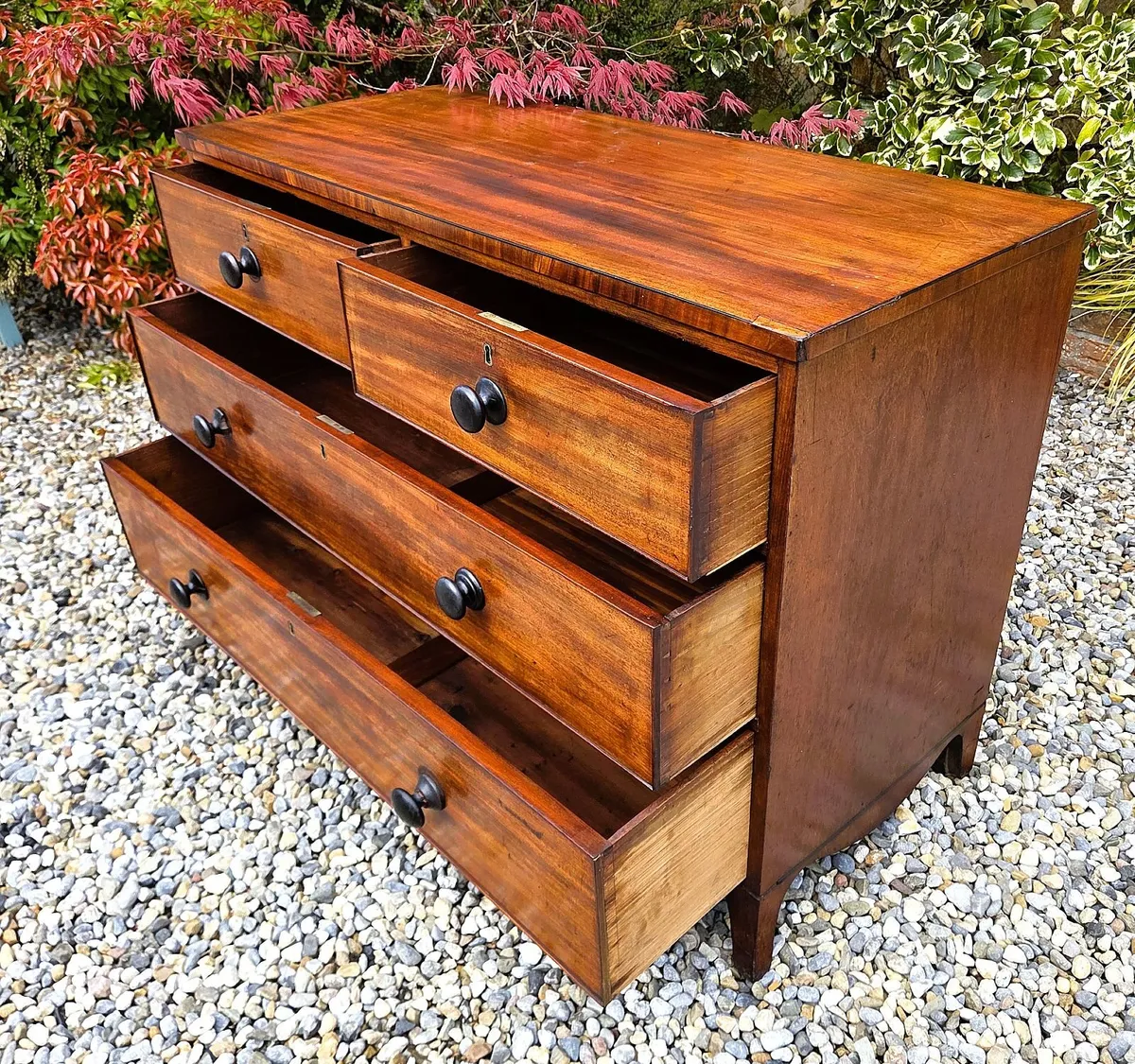 Georgian Mahogany Low Chest - Circa 1830 - Image 4