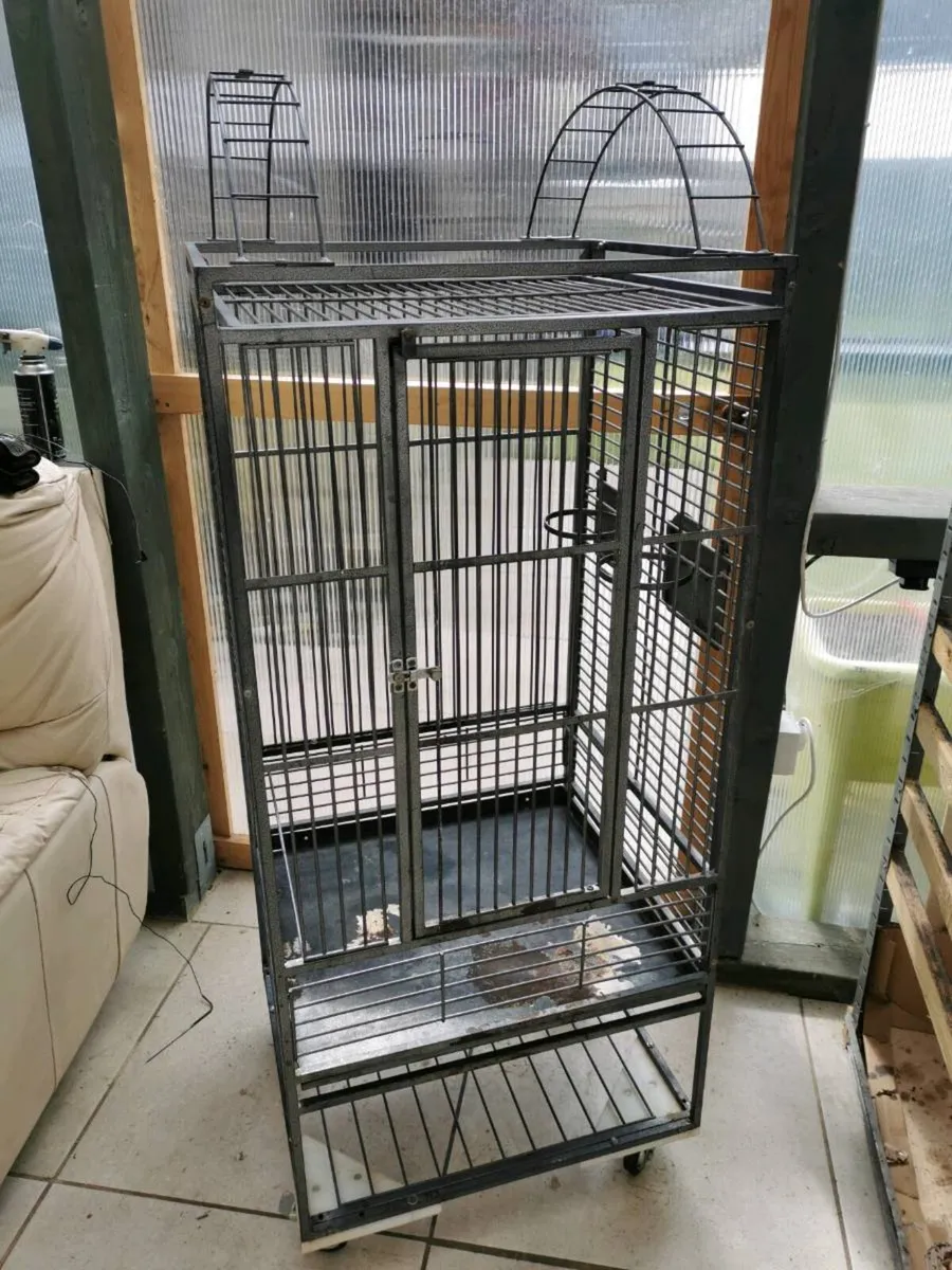 Large parrot cage
