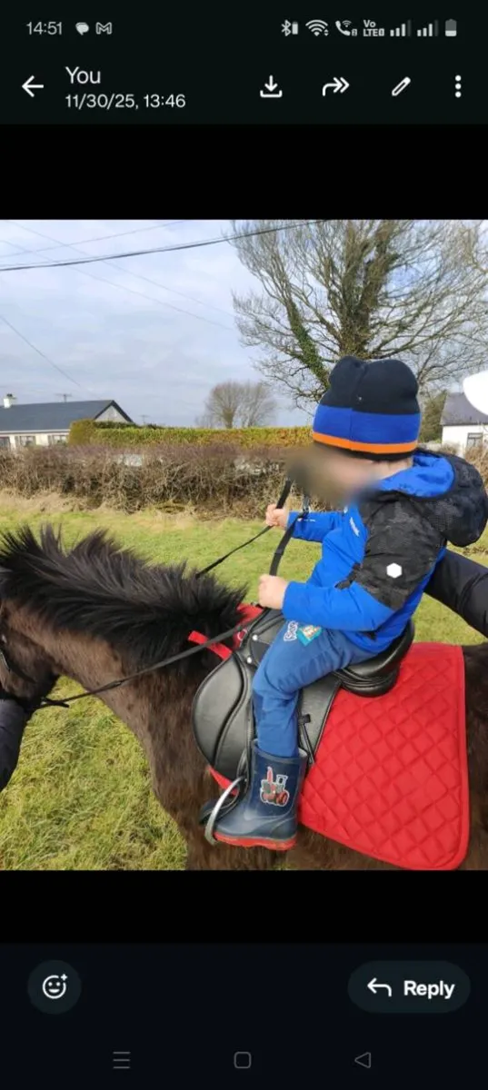 Beginners Pony 12h - Image 3