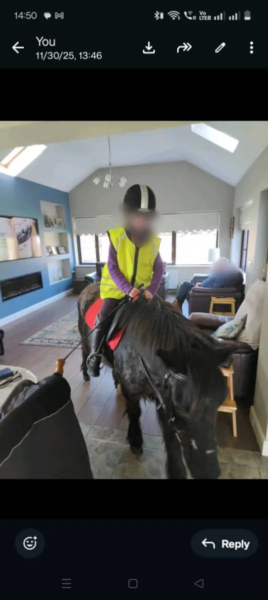 Beginners Pony 12h - Image 4