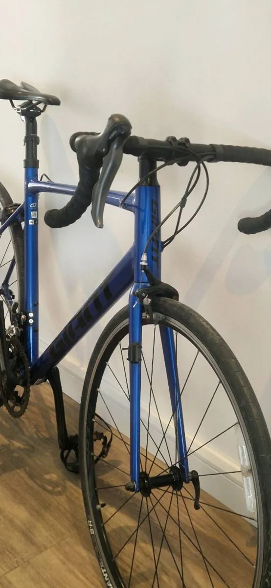 Giant contend 2 ( serviced ) - Image 2