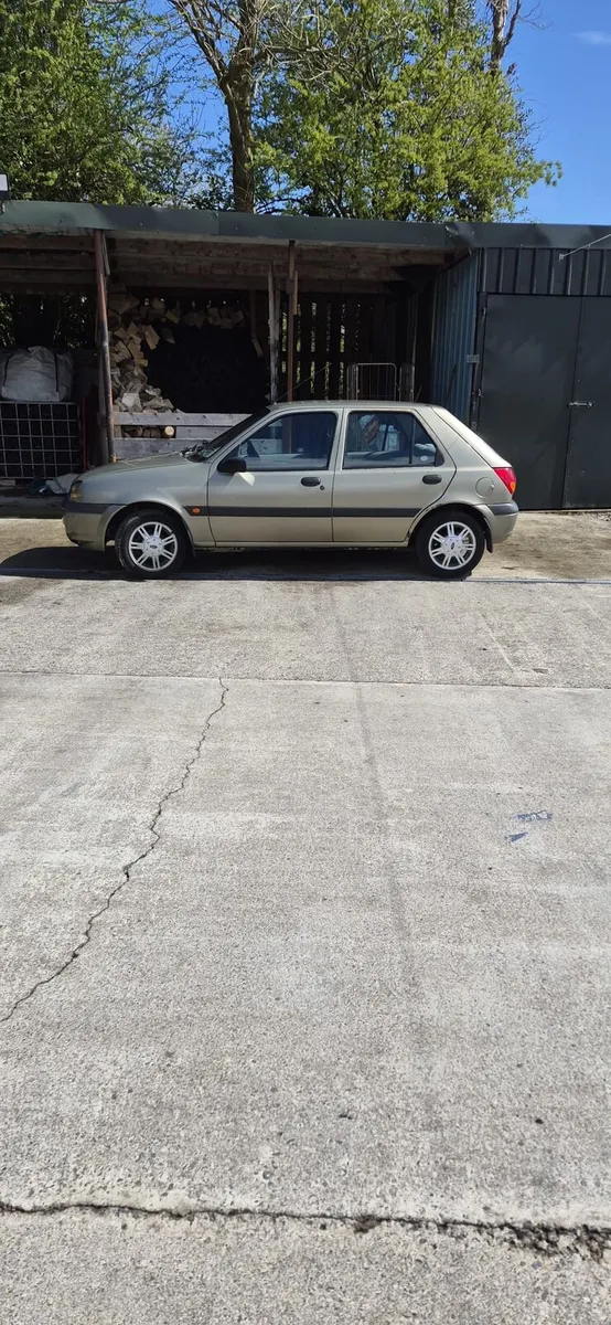 Classic Fiesta - Image 1