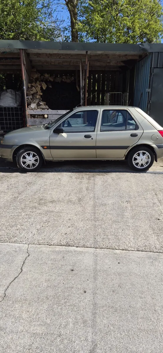 Classic Fiesta - Image 2