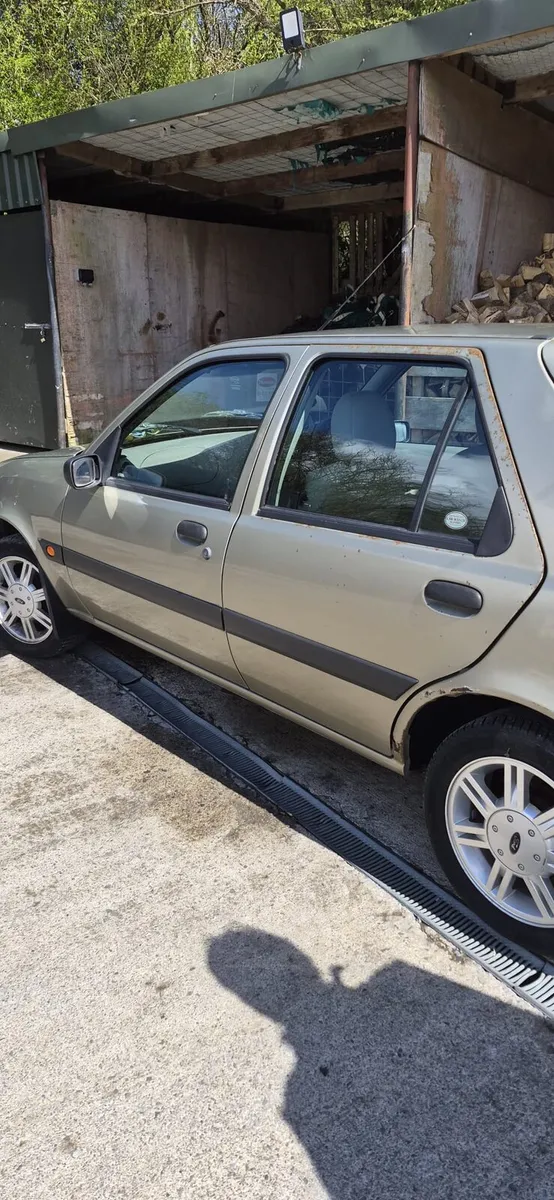 Classic Fiesta - Image 3