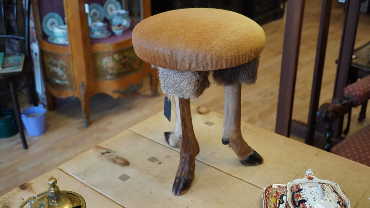 Vintage Taxidermy Deer Leg Stool - Image 3