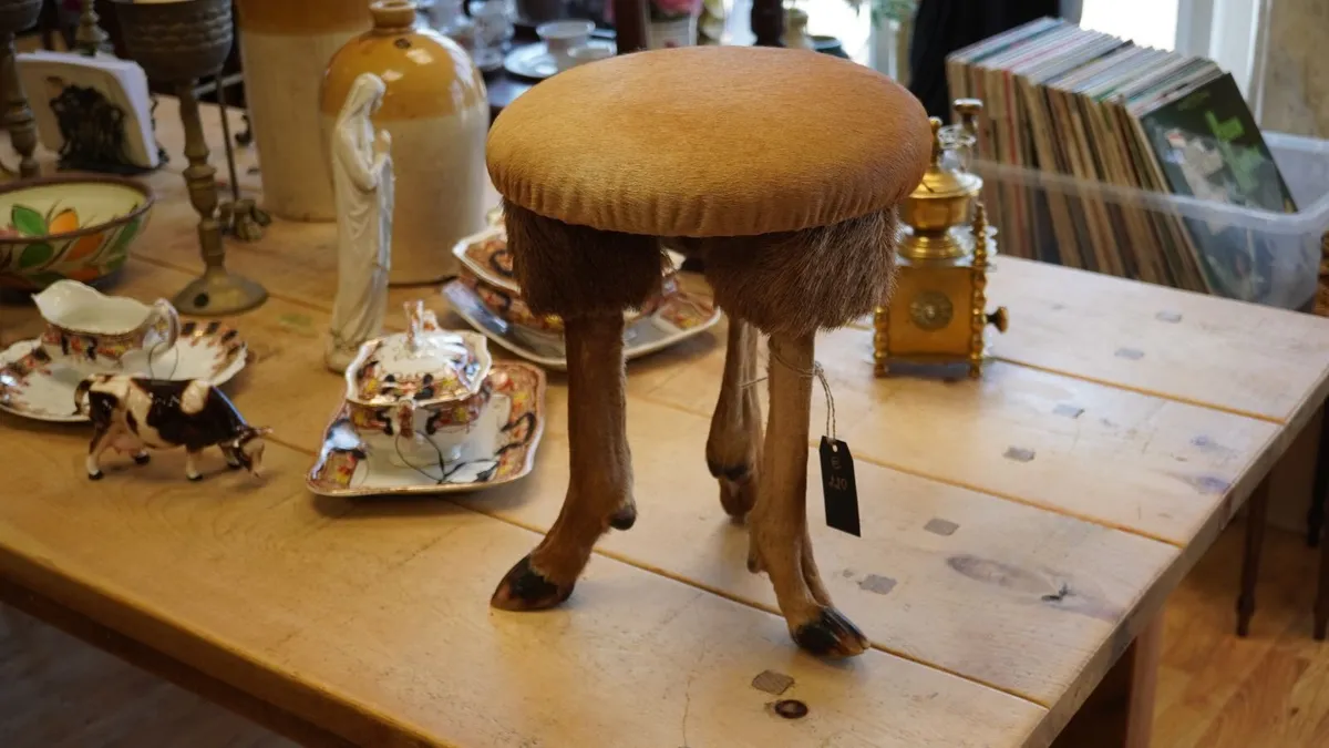 Vintage Taxidermy Deer Leg Stool - Image 2