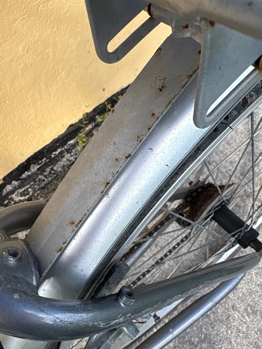 Giant bike - Image 3