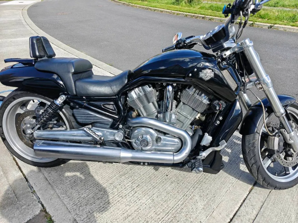 Harley Davidson V rod muscle - Image 1