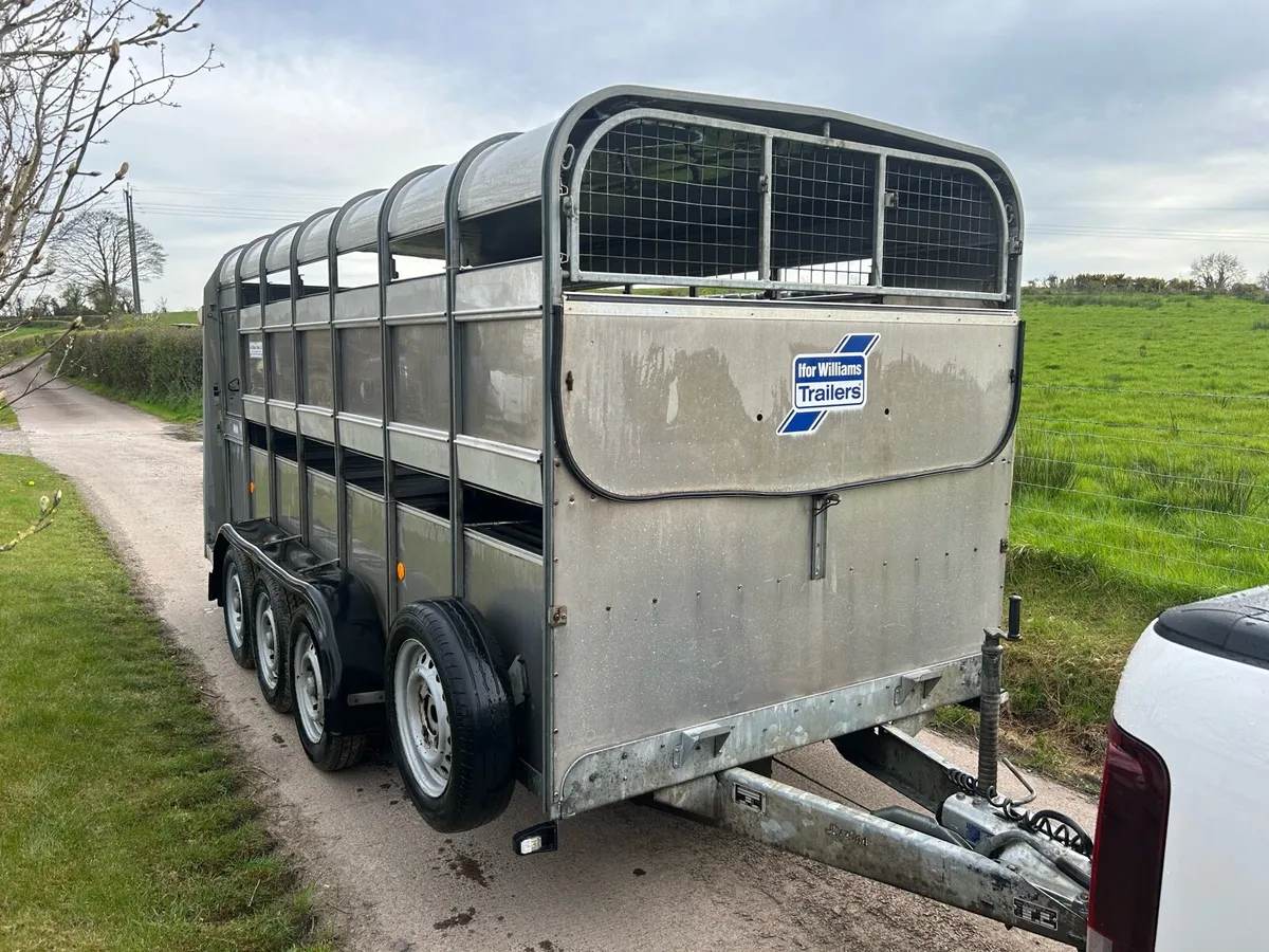 Ifor Williams cattle Trailer - Image 1