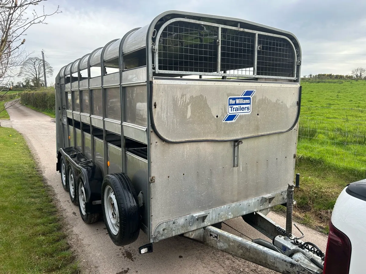 Ifor Williams cattle Trailer - Image 2