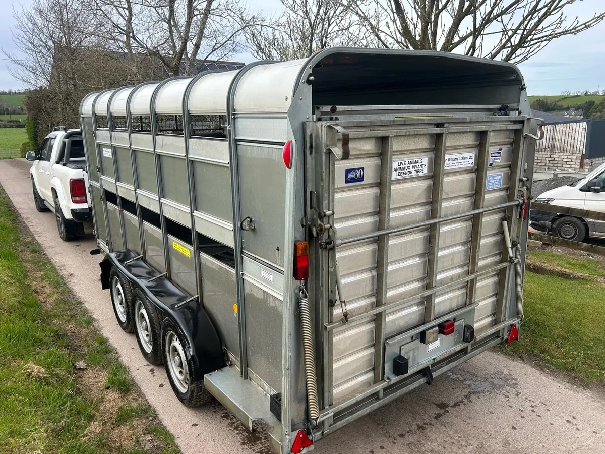Ifor Williams cattle Trailer - Image 4