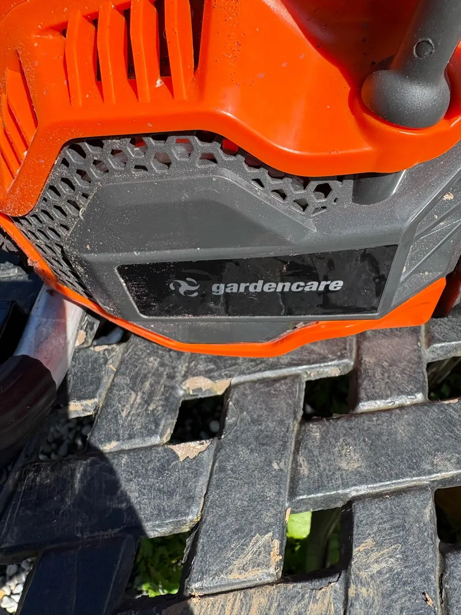 Garden care chainsaw need carburettor cleaned - Image 2