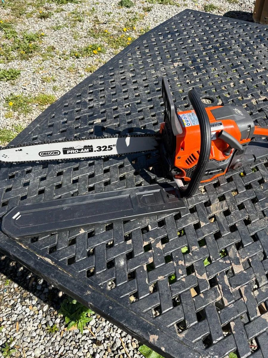 Garden care chainsaw need carburettor cleaned - Image 1