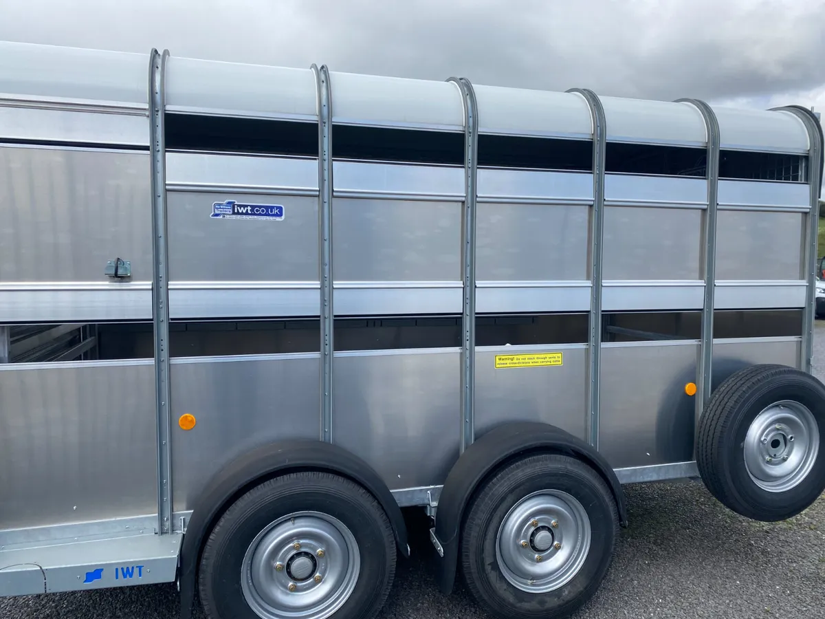 New Ifor Williams Cattle Trailer - Image 3