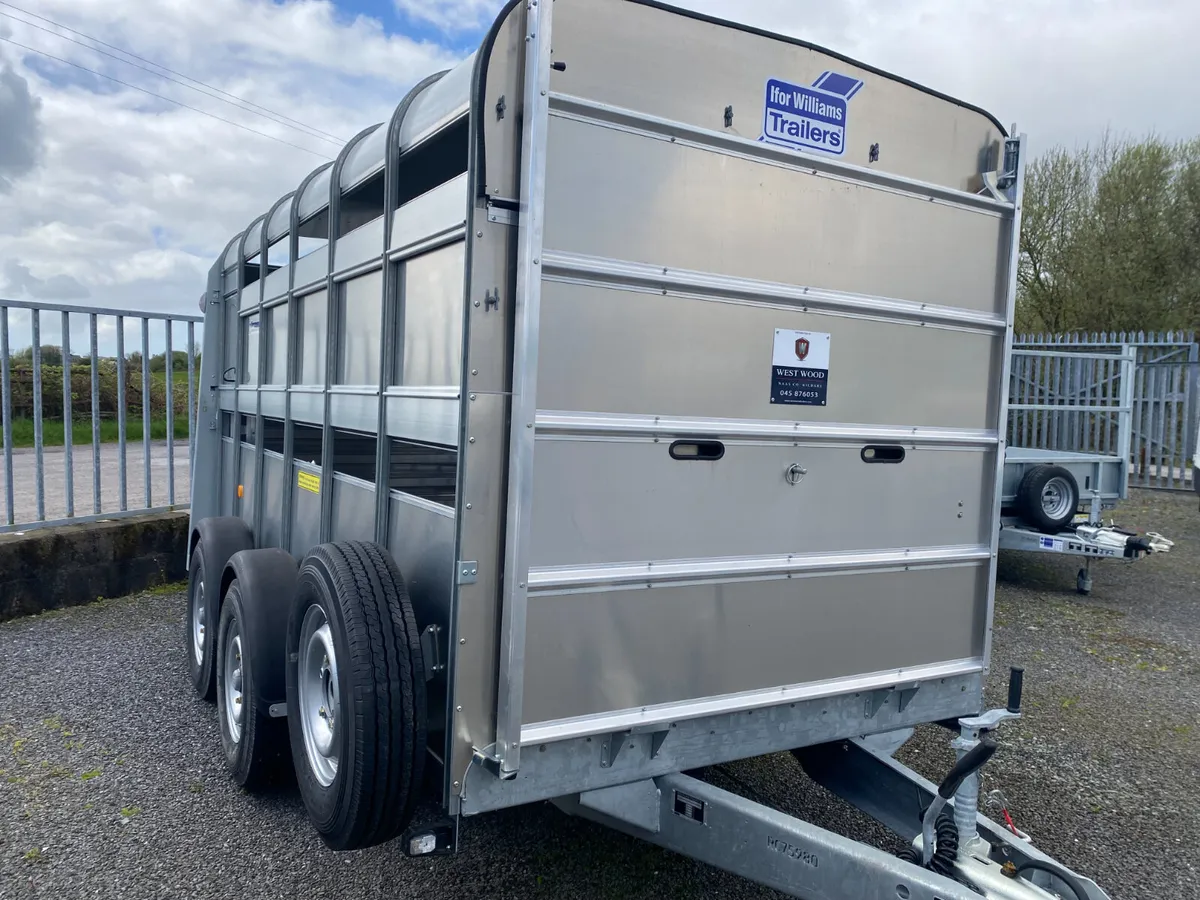 New Ifor Williams Cattle Trailer - Image 2