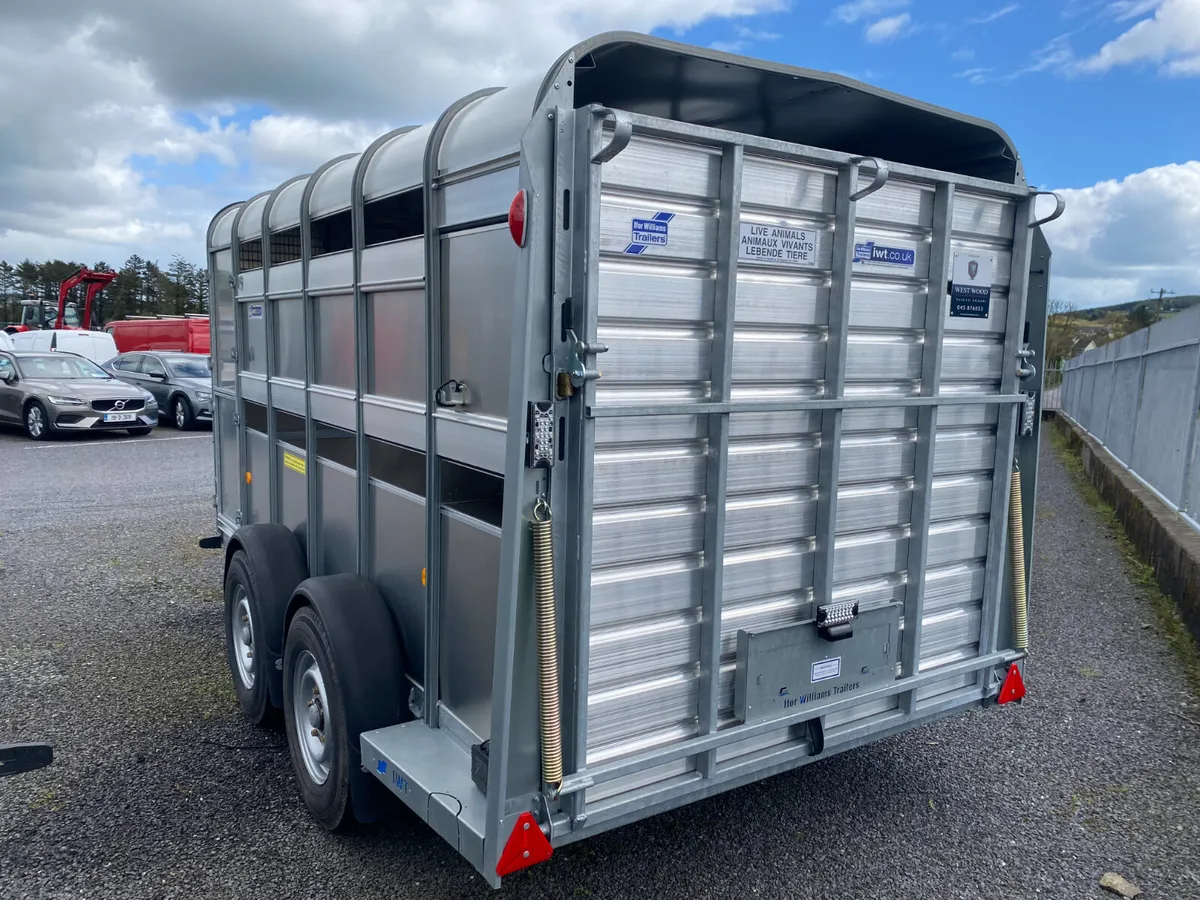 New Ifor Williams Cattle Trailer - Image 4