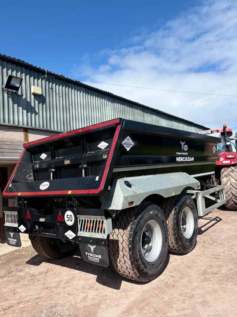 20T Dump Trailer Tyrone trailers - Image 2
