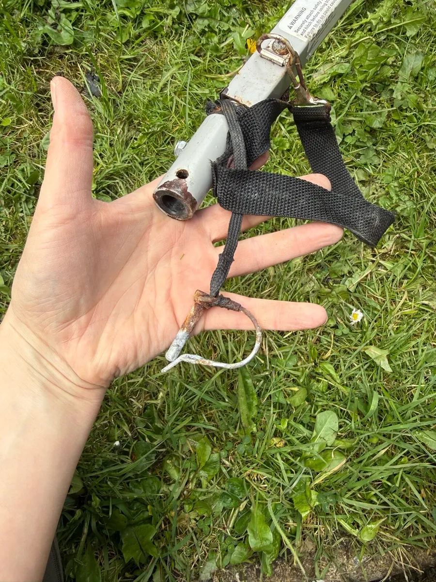 Bike Trailer - Image 2