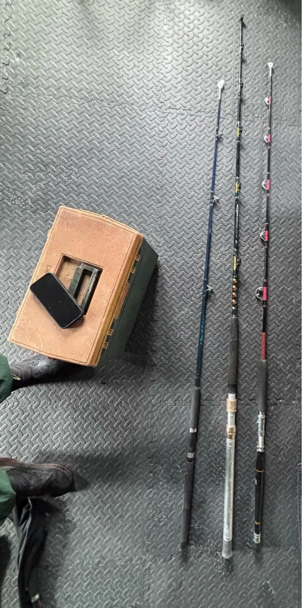 Fishing rod - Image 2