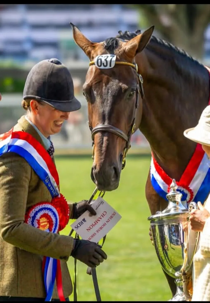 Chelis HC Z - Image 2