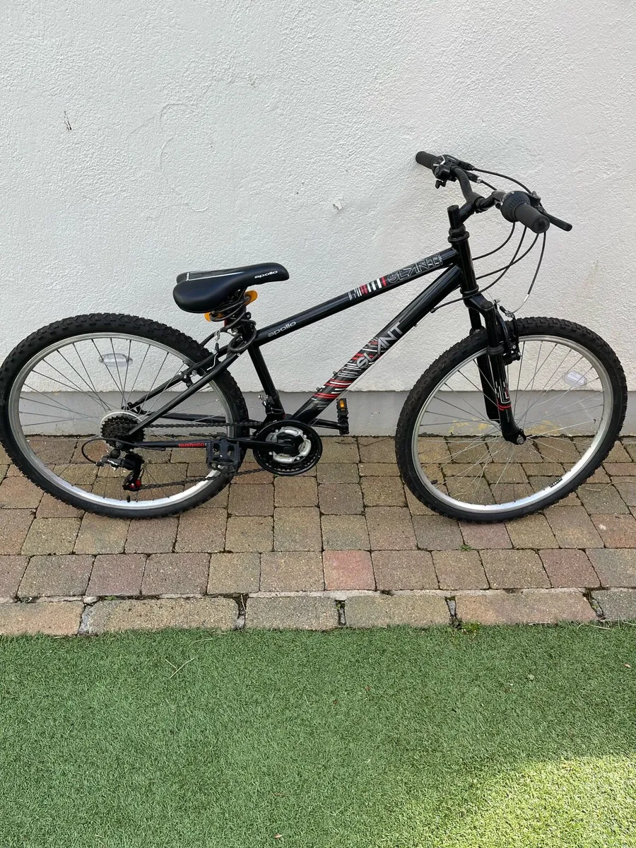 Girls Bicycle - Image 1