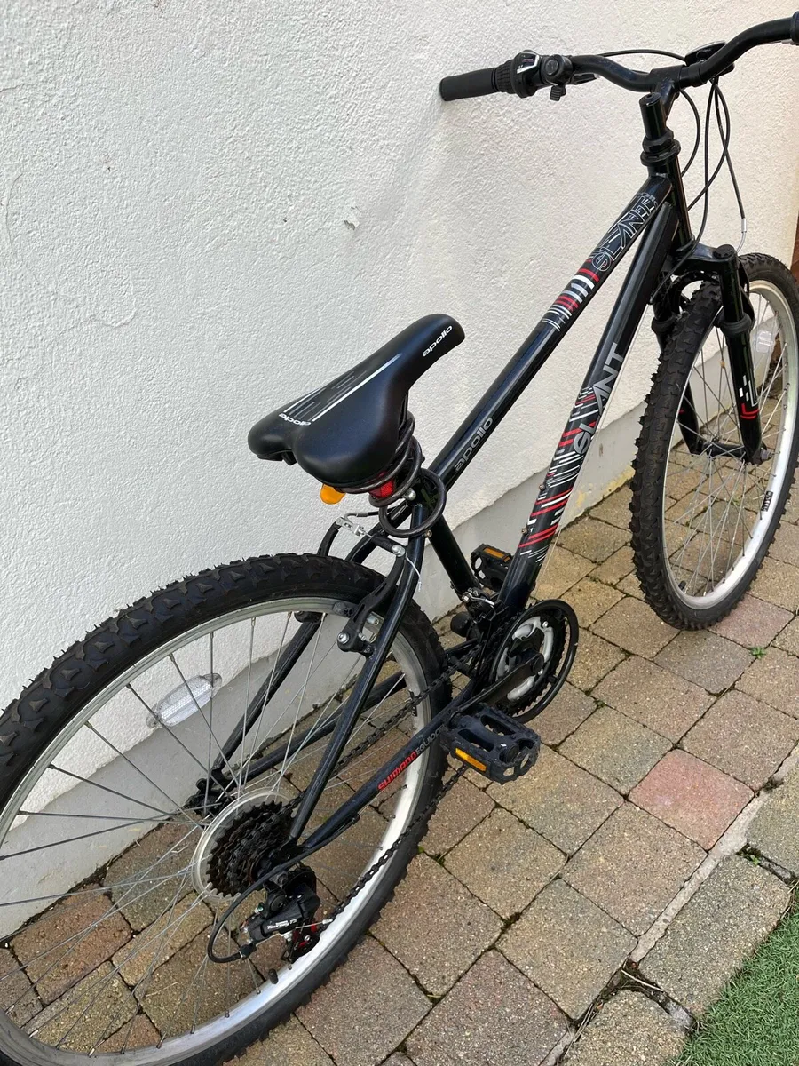 Girls Bicycle - Image 2