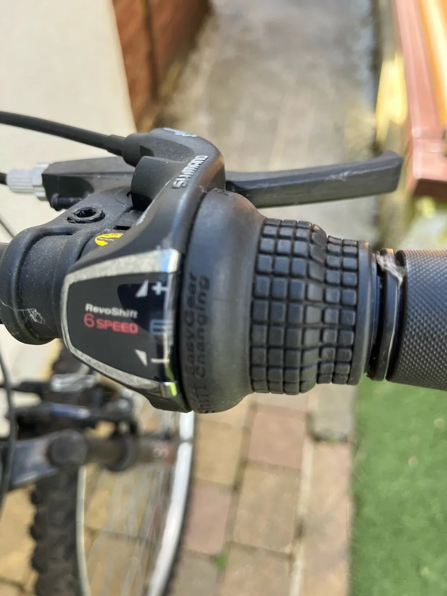 Girls Bicycle - Image 3