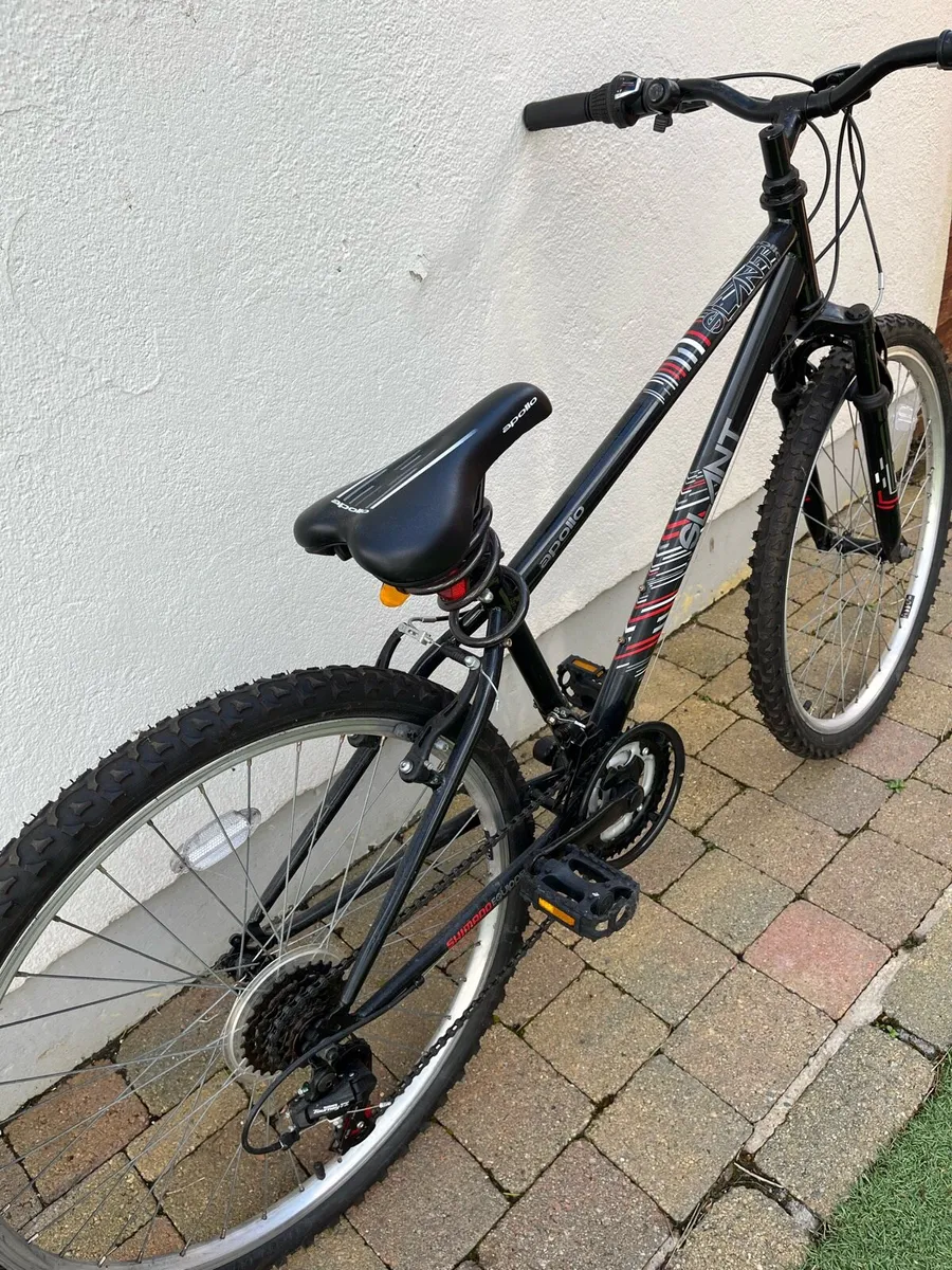 Girls Bicycle - Image 4