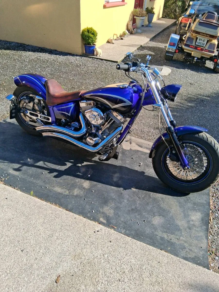 Custom Chopper - Image 3