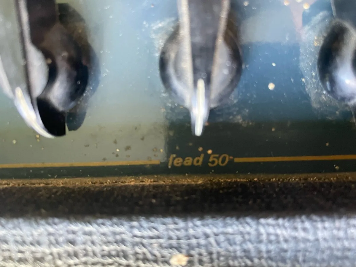 Vox escort lead amp - Image 2