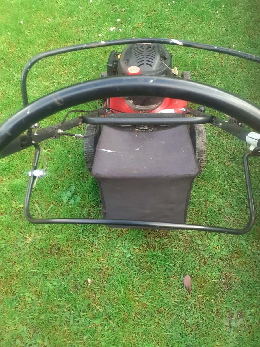 Self    drive    lawnmower - Image 3