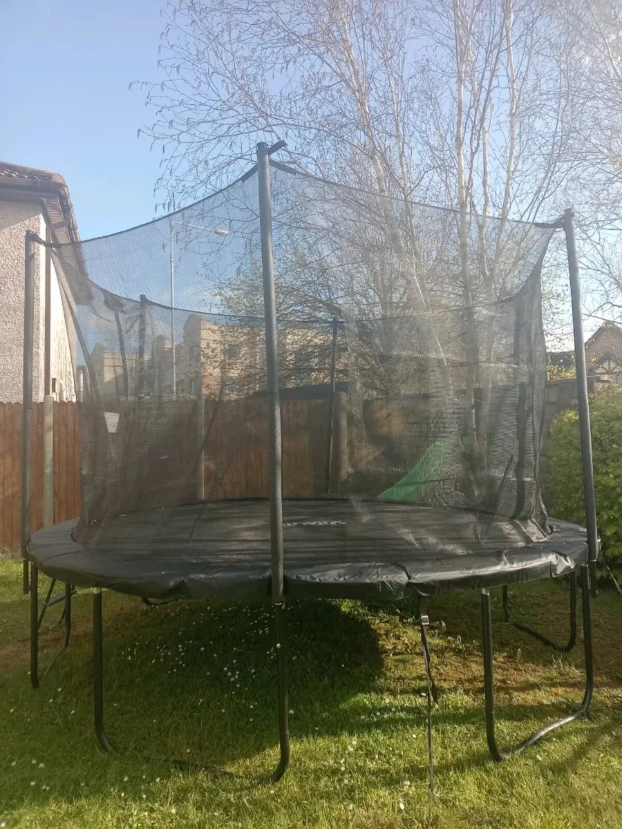 Trampoline - Image 2