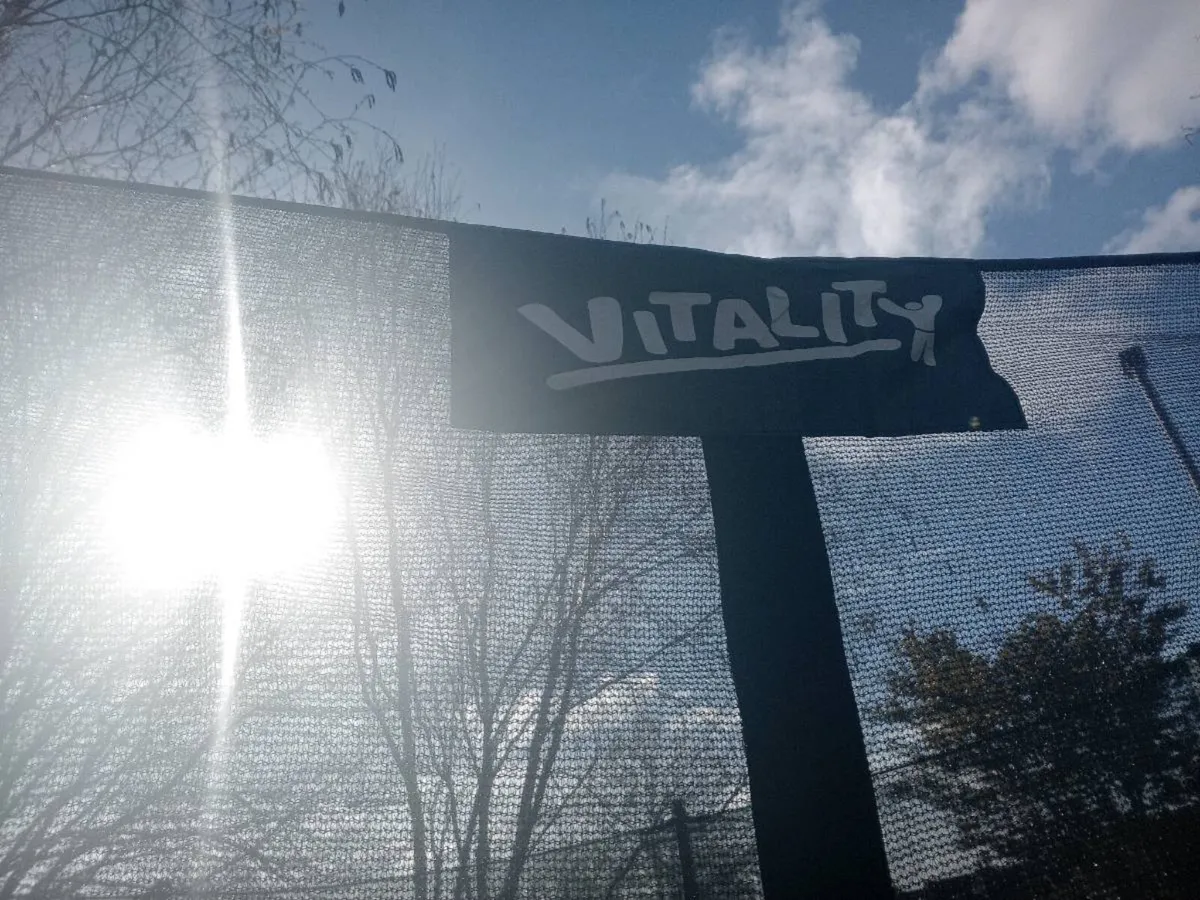 Trampoline - Image 3