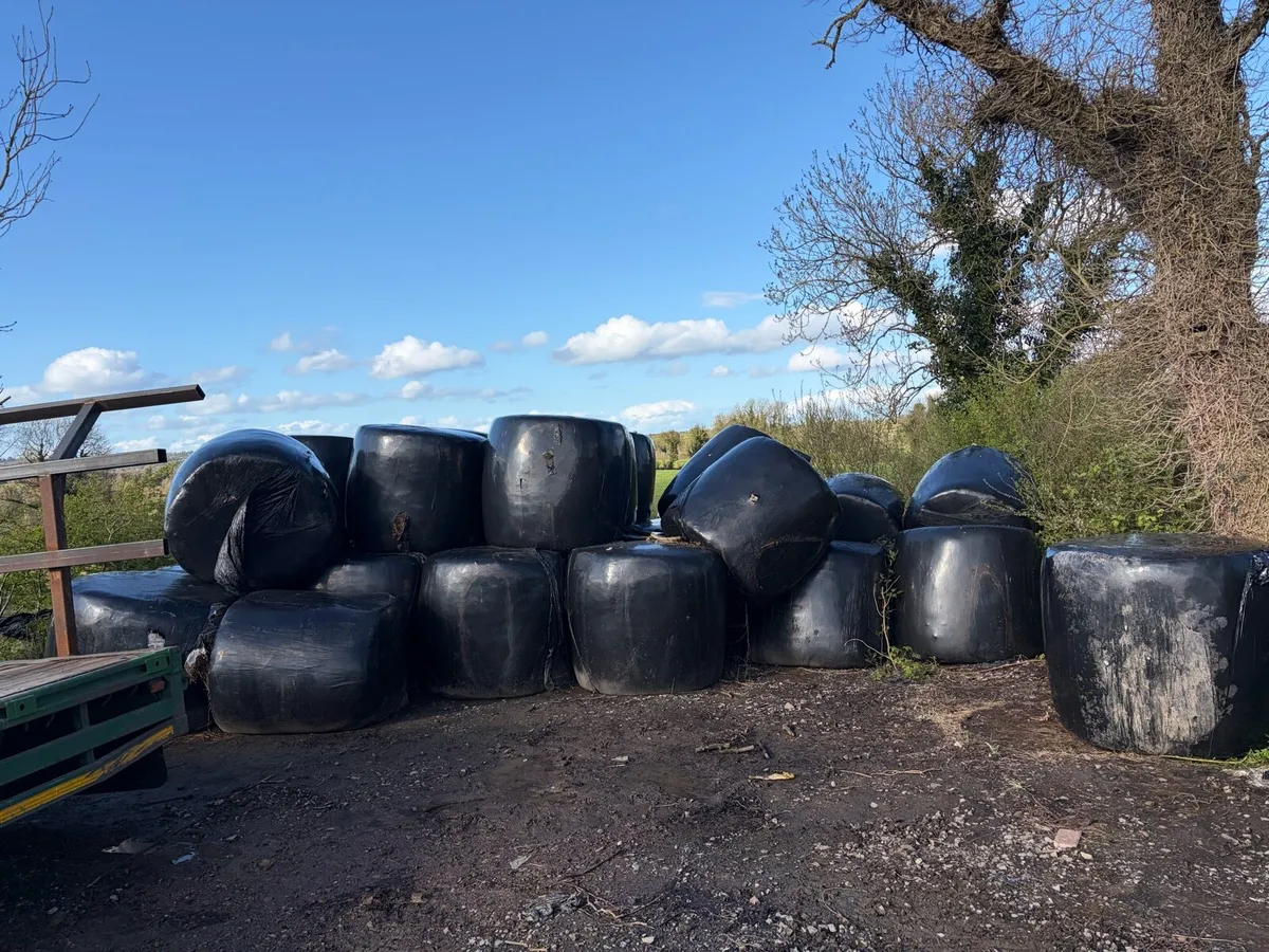 Silage - Image 1