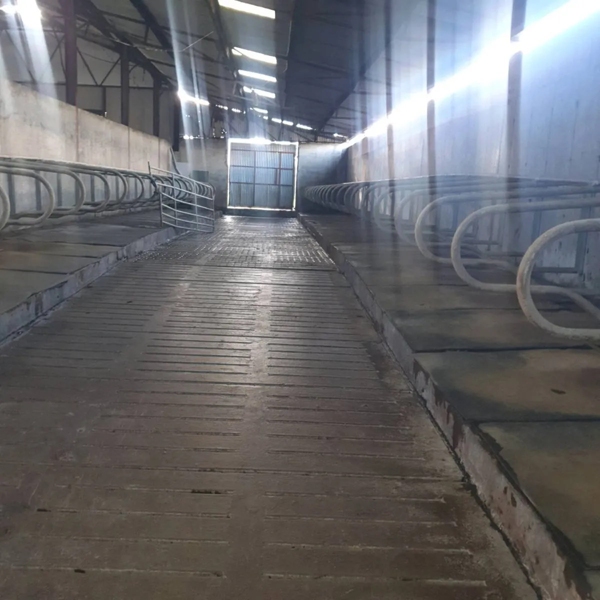 Pressure washing - Image 2